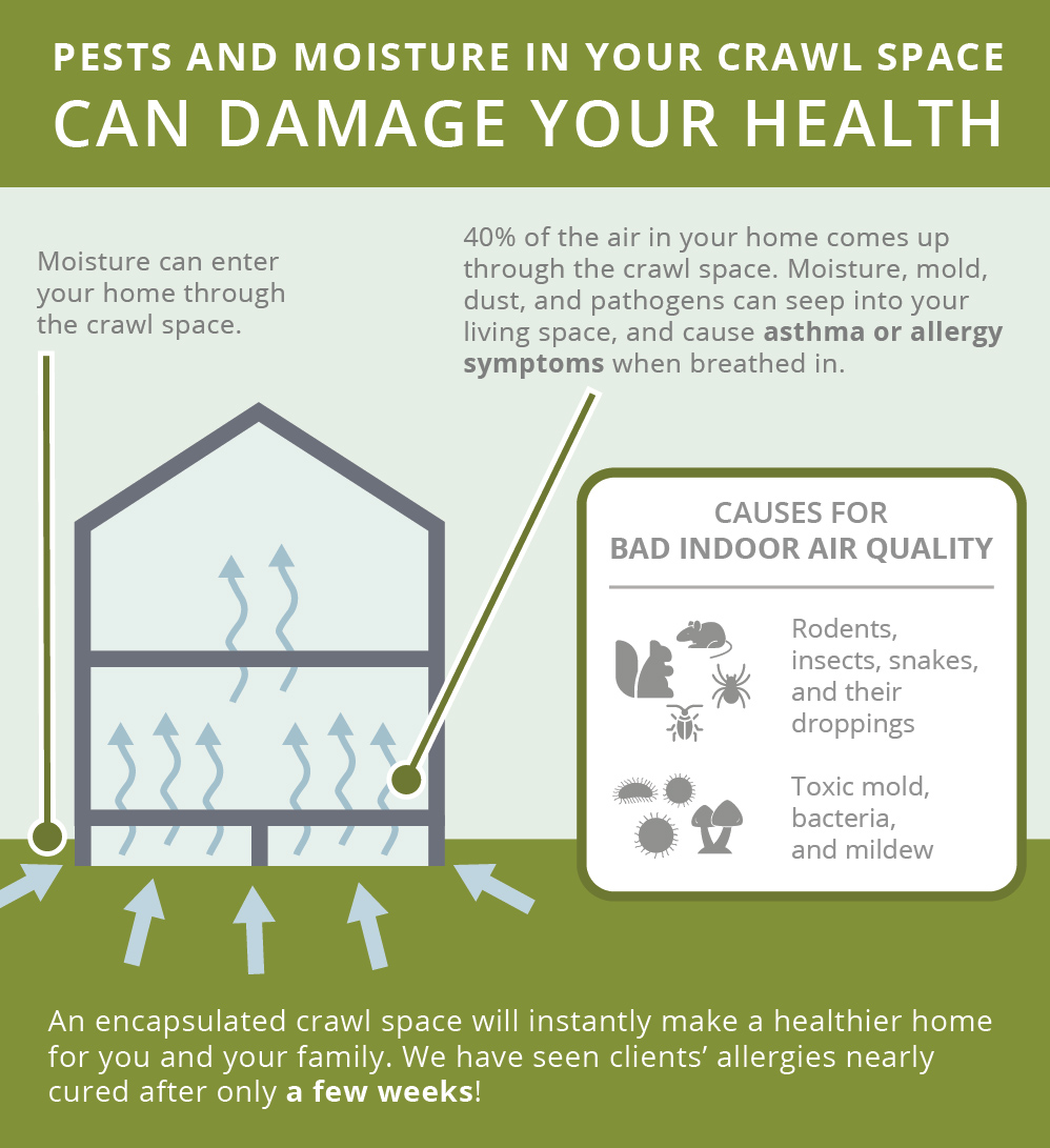 Pests and moisture cause health issues